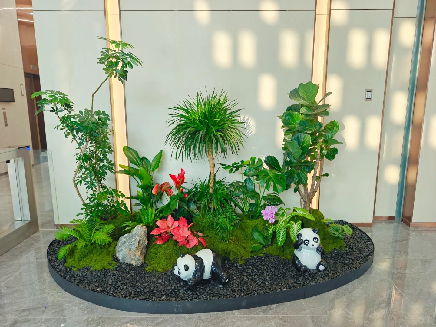 专业花卉租摆，宁波北仑打造多彩办公环境